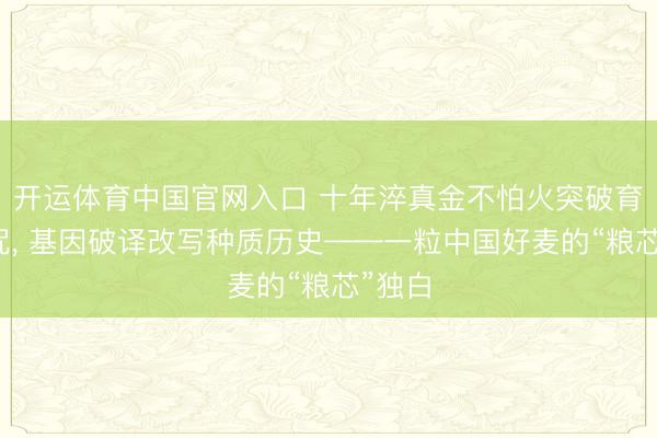 开运体育中国官网入口 十年淬真金不怕火突破育种魔咒, 基因破译改写种质历史——一粒中国好麦的“粮芯”独白