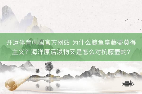 开运体育中国官方网站 为什么鲸鱼拿藤壶莫得主义？海洋原活泼物又是怎么对抗藤壶的？
