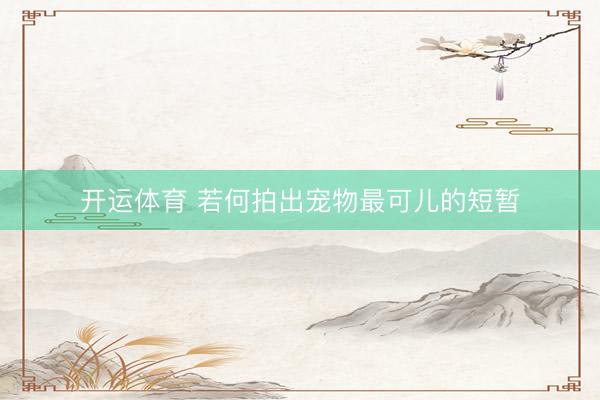 开运体育 若何拍出宠物最可儿的短暂
