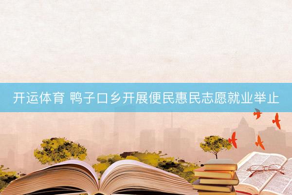 开运体育 鸭子口乡开展便民惠民志愿就业举止