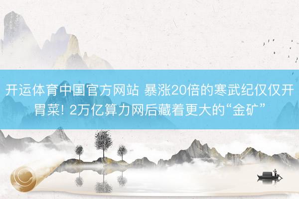 开运体育中国官方网站 暴涨20倍的寒武纪仅仅开胃菜! 2万亿算力网后藏着更大的“金矿”